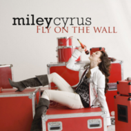 Fly on the Wall