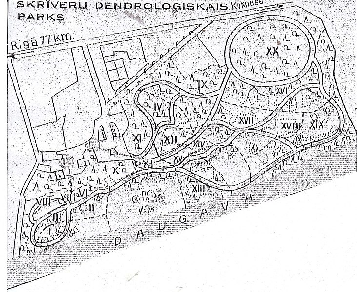 Attēls:Skrīveru dendroloģiskā parka karte 1932.jpg