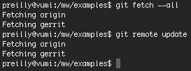 File:Git remote update.png