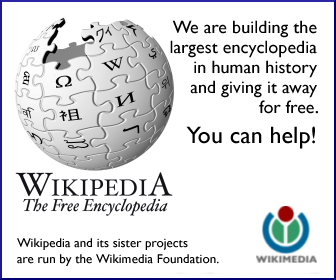 File:WikimediaOnion0805-5.png