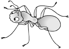 File:Miwiki the ant.png