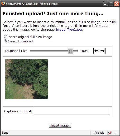 File:MiniUpload form.jpg