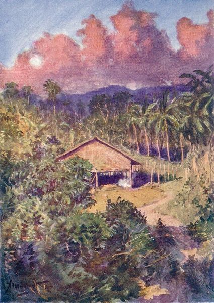 Податотека:Sulu house & coconut plantation.JPG