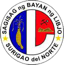 Податотека:Ph seal dinagat islands libjo.png