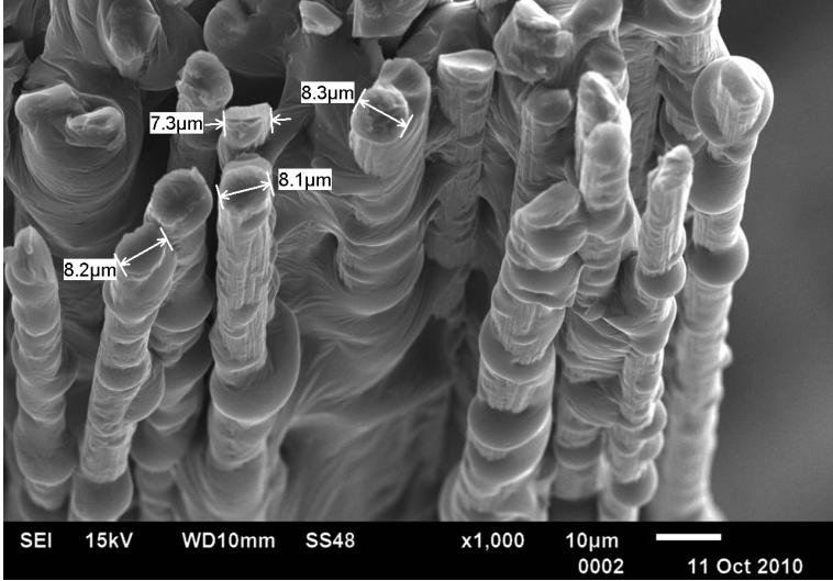 Податотека:Nanotehnologija.jpg