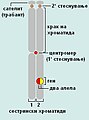 Минијатура на верзијата од 17:04, 27 септември 2008