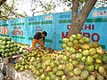 Продавач на зелени кокосови ореви летно време Индија.jpg