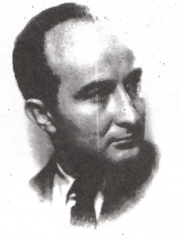 Бранислав Русиќ