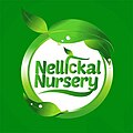 Nellickal nursery 16.jpeg