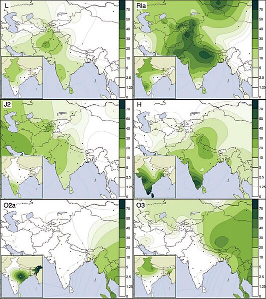 Файл:Y-MAP of India.jpg