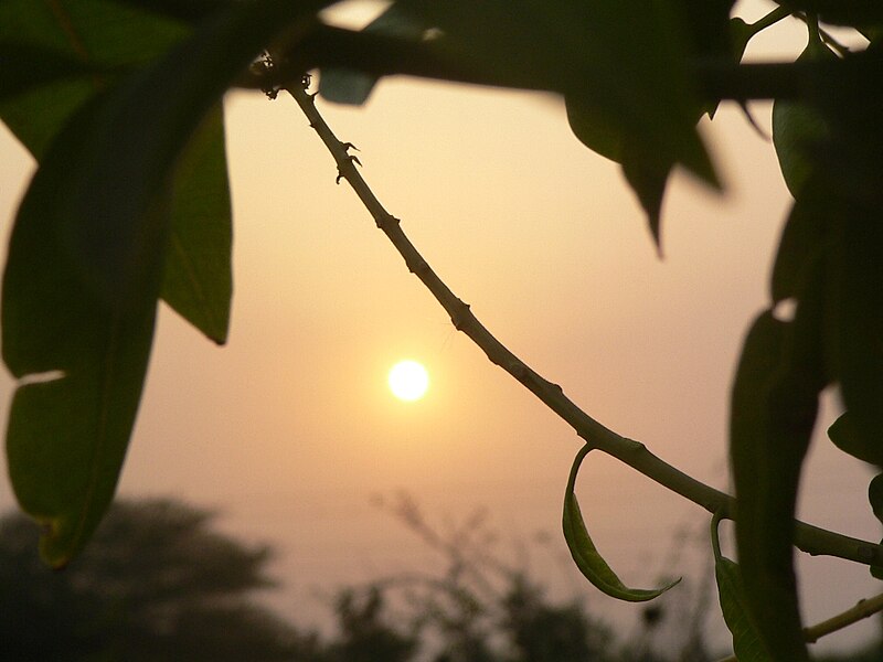 चित्र:Nature Sunset 04.jpg