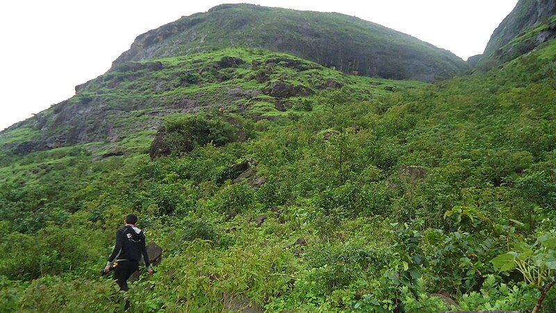 चित्र:Hadsar Fort Junnar 06.jpeg