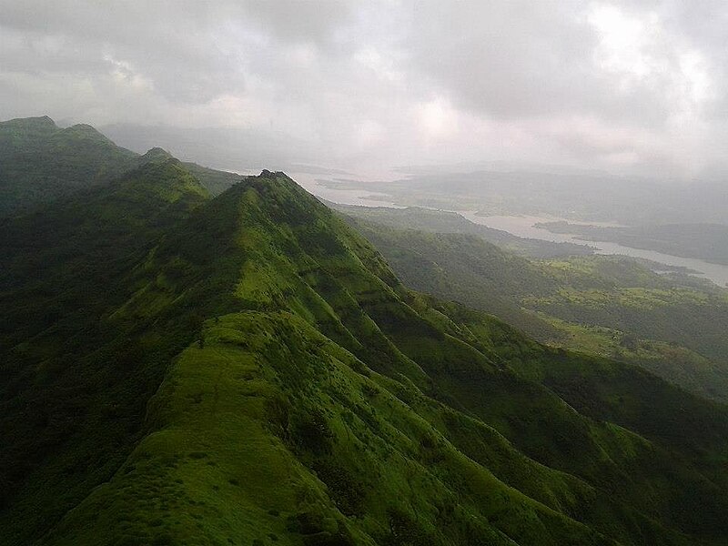 चित्र:Rajgad-top.jpg