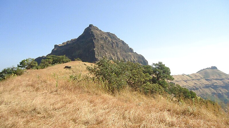 चित्र:Rajgad Fort 07.jpeg