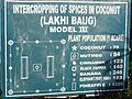 ०६:२८, ४ मार्च २०१२ आवृत्तीसाठी छोटे चित्र