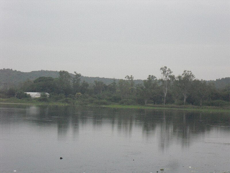 चित्र:Wadali dam Amravati-2.JPG