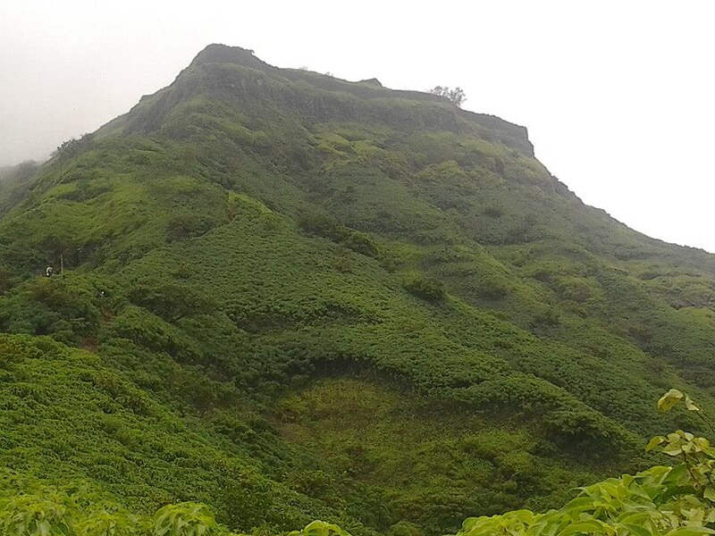 चित्र:Rajgad-.jpg