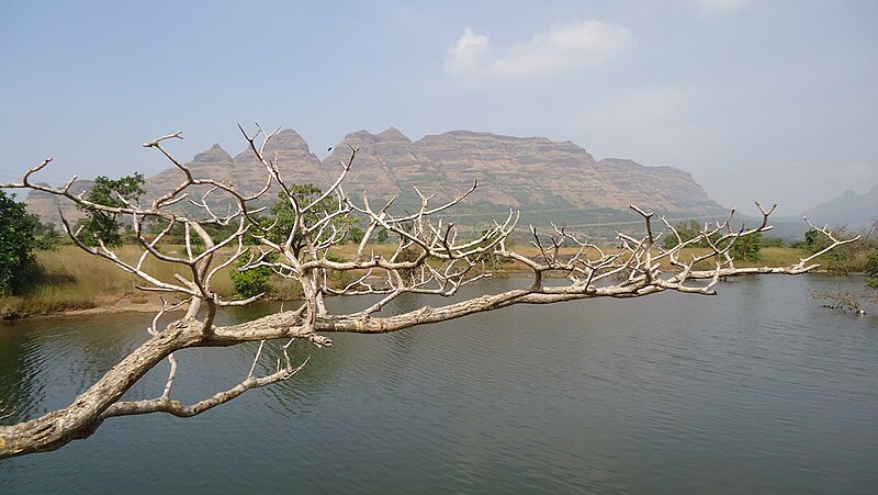 चित्र:Naneghat-Photo-03.jpg