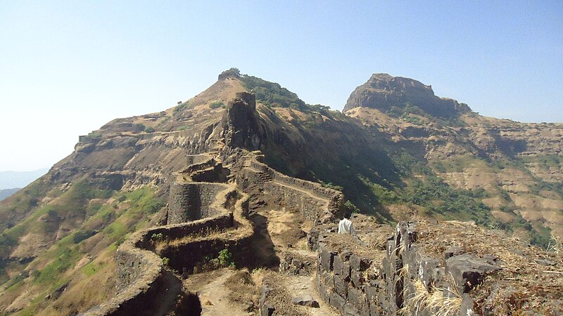 चित्र:Rajgad Fort 25.jpeg