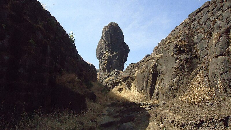 चित्र:Rajgad Fort 13.jpeg