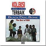 MP0B 1993 Black Dog Bone - The Best Of.jpg