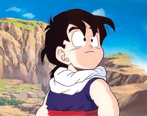 Fail:Son Gohan photo.jpg