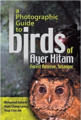 Fail:A Photographic Guide to Birds of Ayer Hitam Forest Reserve.jpg