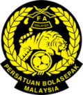 Lakaran kecil untuk Pasukan bola sepak kebangsaan bawah-20 Malaysia