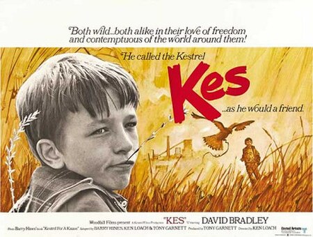 Filem_Kes