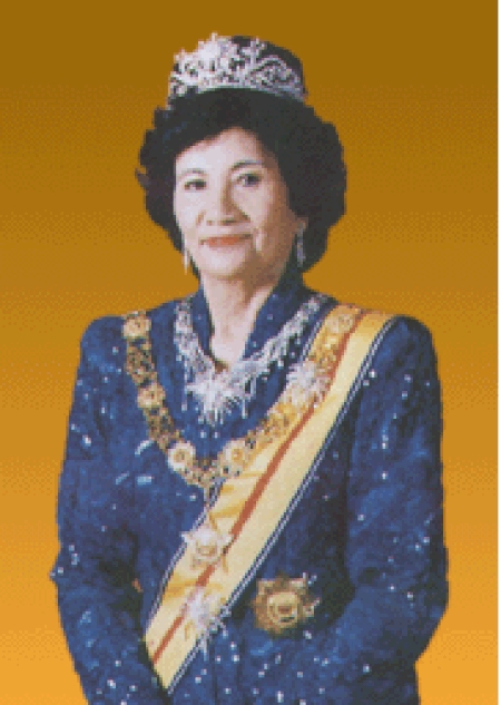 Tunku_Najihah_binti_Almarhum_Tunku_Besar_Burhanuddin