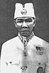 Raja Perlis