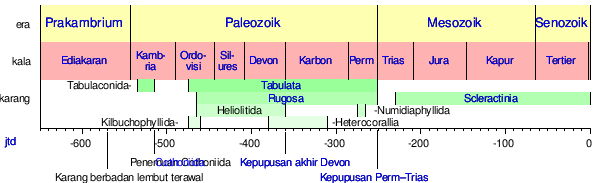 Karang: Taksonomi, Anatomi, Ekologi