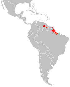 Firxa Marmosops pinheiroi.PNG