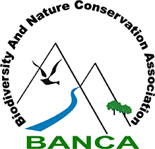 BANCA Logo.png