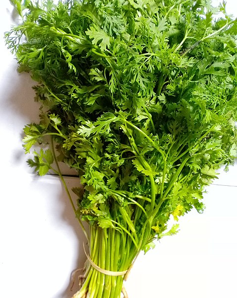 ဖိုင်:Coriander leaves.JPG