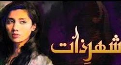 ਤਸਵੀਰ:Shehr-e-Zaat Hum TV.jpg