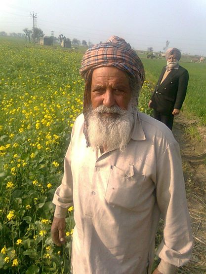 ਤਸਵੀਰ:A farmer from Sirthala, Ludhiana.jpg