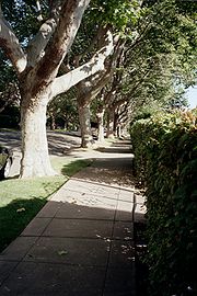 File:Piedmont CA street.JPG