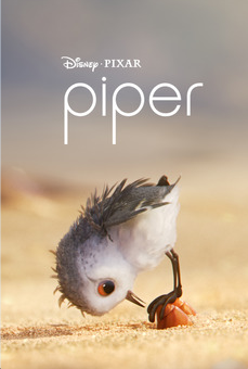 Ficheiro:Piper curta.png