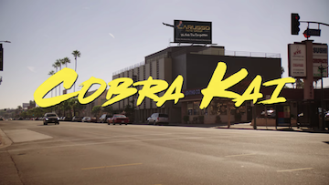 Cobra Kai 2: Dojos Rising, Jogos para a Nintendo Switch, Jogos