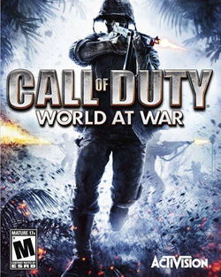 Call of Duty World at War Final Fronts PS2 Seminovo