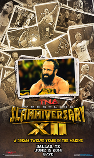 Poster_Slammiversary_XII.png