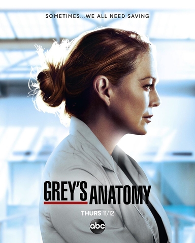 Grey's Anatomy (17.ª temporada) – Wikipédia, a enciclopédia livre