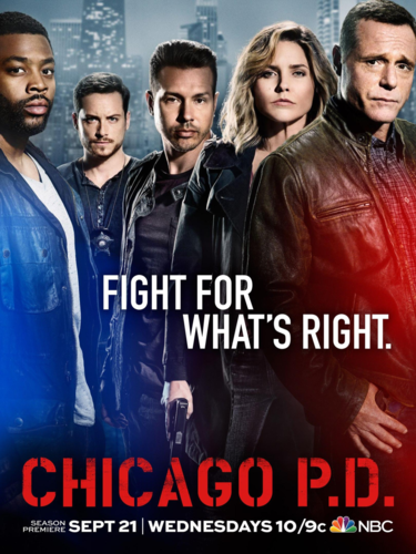 Ficheiro:Chicago P.D. temporada 4.png