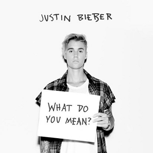 Ficheiro:Capa de What Do You Mean.png