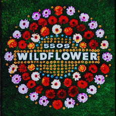 Ficheiro:5 Seconds Of Summer - Wildflower.png