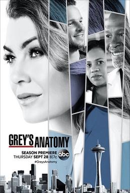 ABC anuncia data de estreia da 20ª temporada de 'Grey's Anatomy