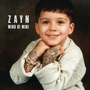 Miniatura para Mind of Mine