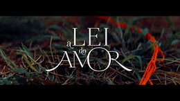 A Lei Do Amor: Enredo, Elenco, Produção