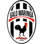 Miniatura para ADAP/Galo Maringá Futebol Clube